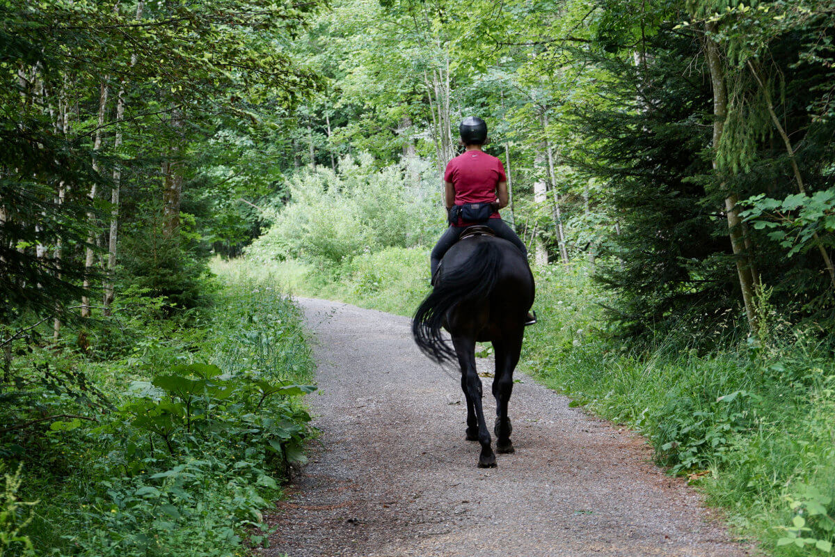 Passeggiate a cavallo alla scoperta del Parco del Sirente Velino